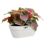 vibia campana wall basket 35cm silky white